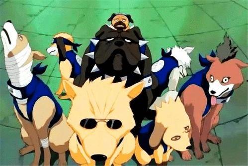 黄猿紫狗小樱爆料视频对比,揭秘幕后真相